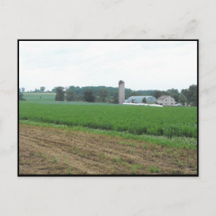 ~ Summer in Lancaster County ~ 10 Postcard