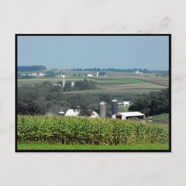 ~ Summer in Lancaster County ~ 62 Postcard (Front)