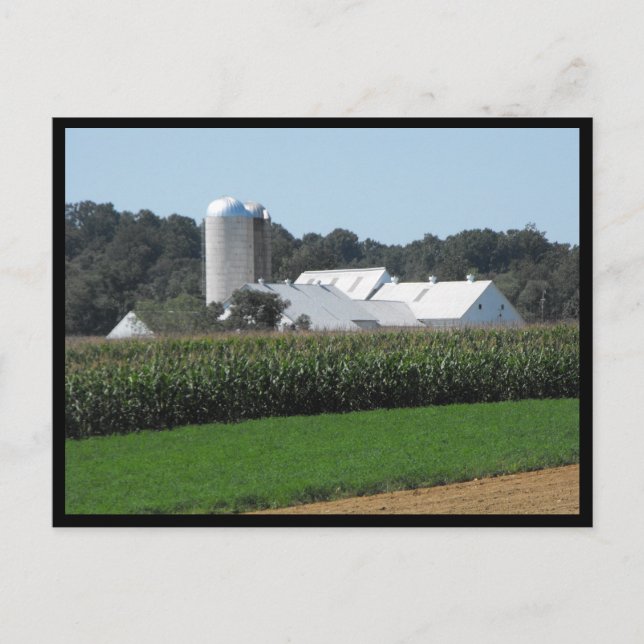 ~ Summer in Lancaster County ~ 70 Postcard (Front)