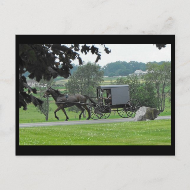 ~ Summer in Lancaster County ~ 71 Postcard (Front)