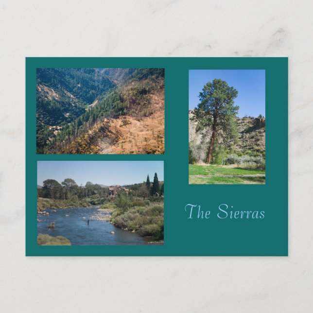 Summer in the Sierras Postcard (Front)