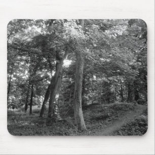 Summer in the Woods Mouse Pad
