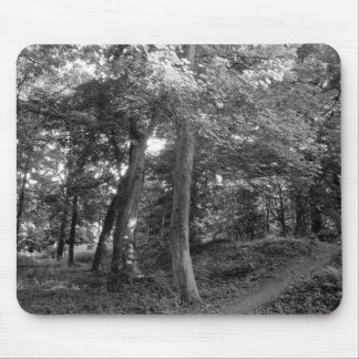 Summer in the Woods Mouse Pad