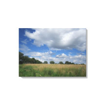 Summer Iowa Prairie Canvas Print
