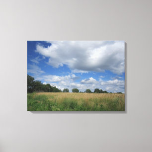 Summer Iowa Prairie Canvas Print