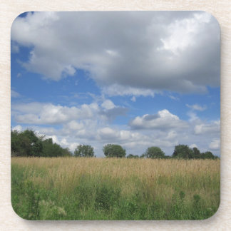 Summer Iowa Prairie Coaster