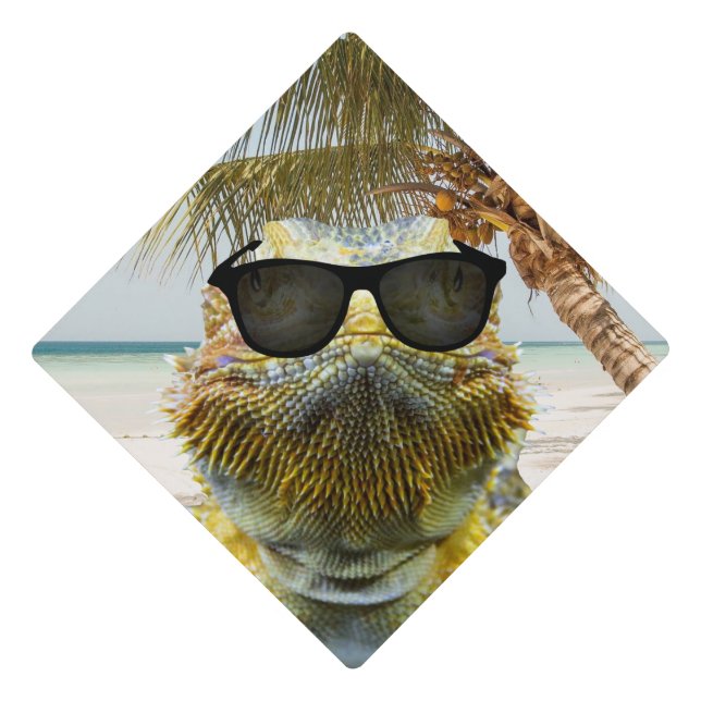 Summer is Coming Graduation Cap Topper (Front)