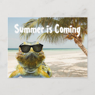 Summer is Coming Postcard