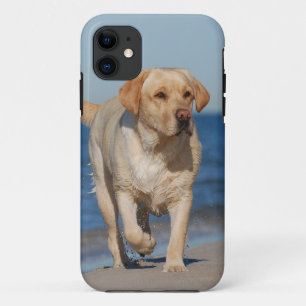 Summer lab iPhone 11 case