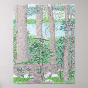 Summer Lake with Woods Coloured Pencil Drawing Poster