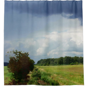 summer landscape