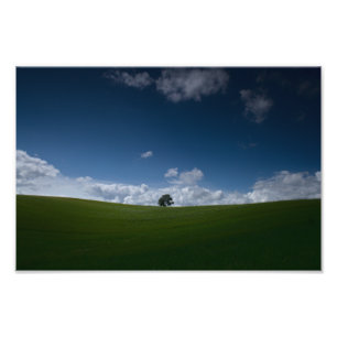 Summer Landscape (Old Linslade 8355) Poster