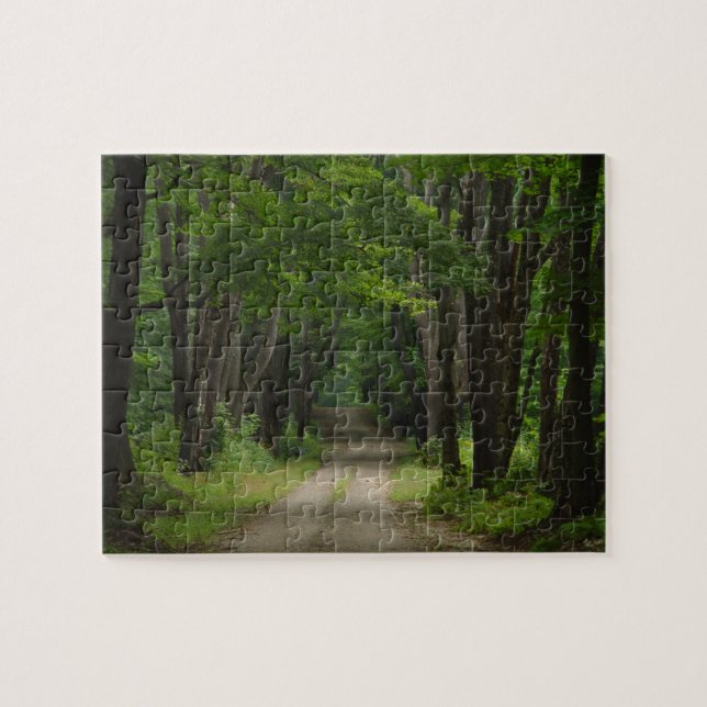 Summer Lane Puzzle (Horizontal)