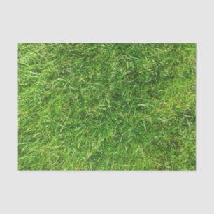 Summer Lawn Tissue Paper