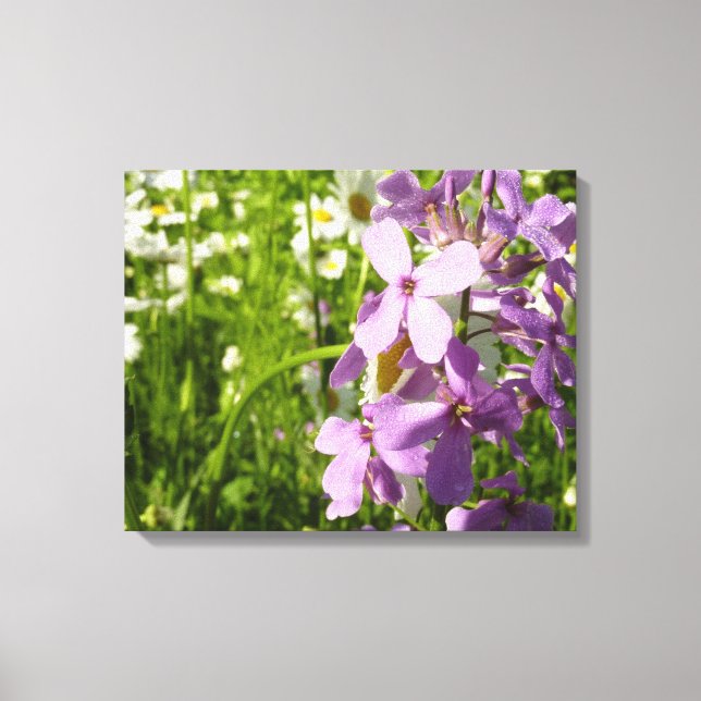 Summer Lilac and Daisies Canvas Print (Front)
