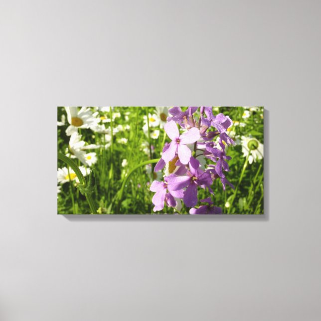 Summer Lilac and Daisies Canvas Print (Front)