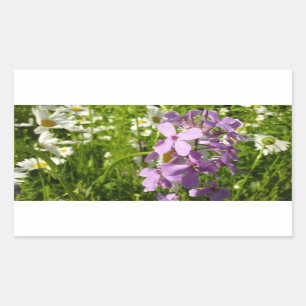 Summer Lilac and Daisies Sticker
