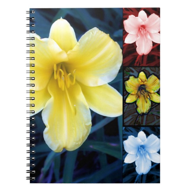 Summer Lilly Notebook (Front)