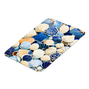 Summer Marine Seashells Magnet