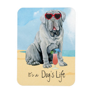 Summer Mastino Magnet