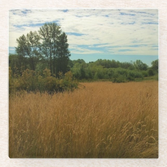Summer Meadow Glass Coaster (Front)