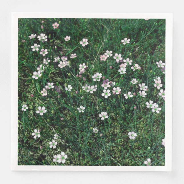 Summer Meadow Small White & Light Pink Wildflowers Napkin (Front)