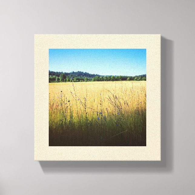 Summer Meadow with Blue Wildflowers Canvas Print (Front)