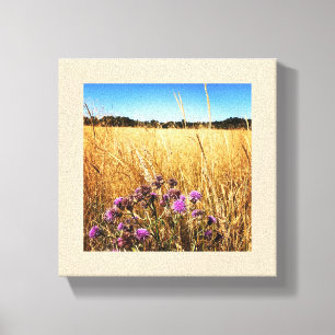 Summer Meadow with Milk Thistle Canvas Print