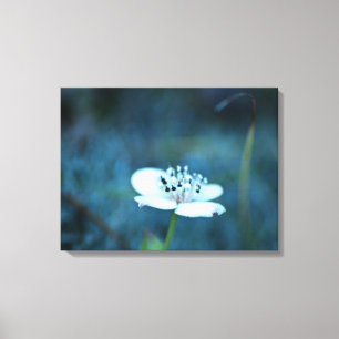 Summer Memories Canvas Print