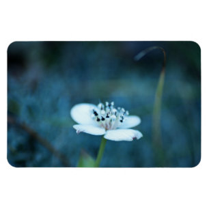 Summer Memories Magnet