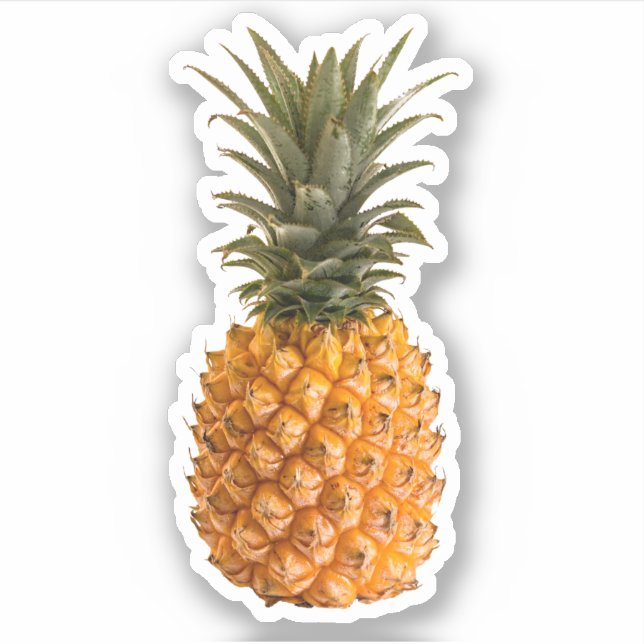 Summer modern pretty girly tropical pineapple (Front)