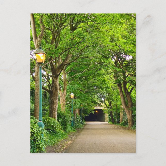 Summer Morning  Postcard (Front)