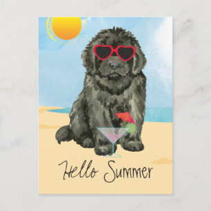 Summer Newfoundland Postcard