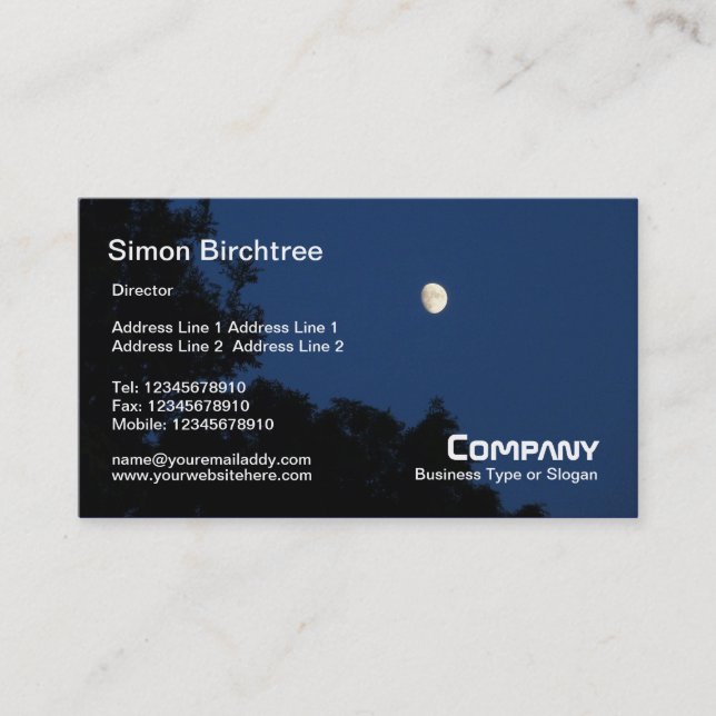 Summer Night Business Card (Front)