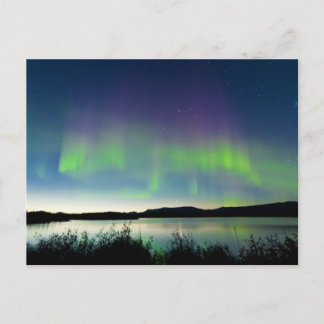 Summer night Northern lights over Lake Laberge Postcard