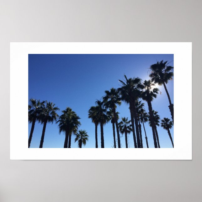 Summer Ocean Palms Blue Color Photography Poster (Front)