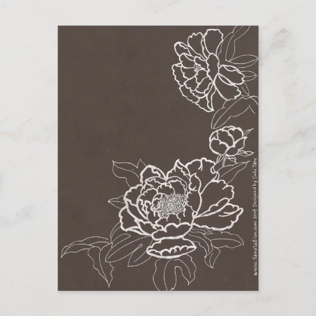 summer of love postcard (Front)