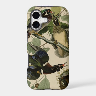 Summer or Wood Duck