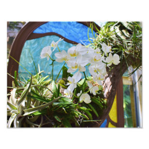 Summer Orchids  Photo Print