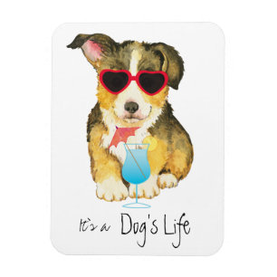 Summer Pembroke Welsh Corgi Magnet