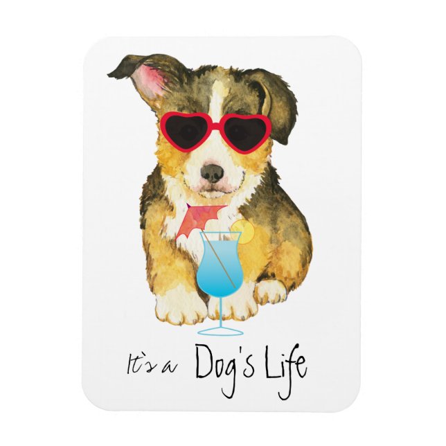 Summer Pembroke Welsh Corgi Magnet (Vertical)