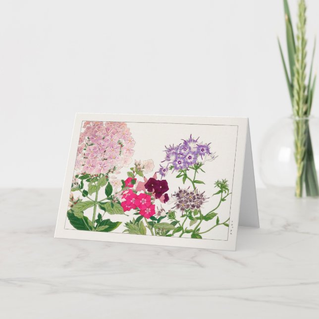 Summer phlox by Tanigami Konan Card (Front)