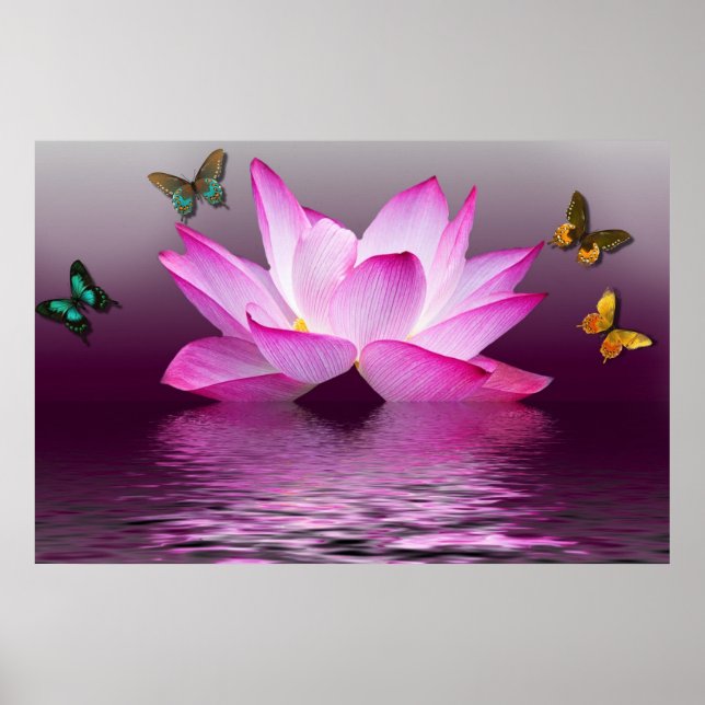 Summer Pink Lotus Flower and Colourful Butterflies Poster (Front)