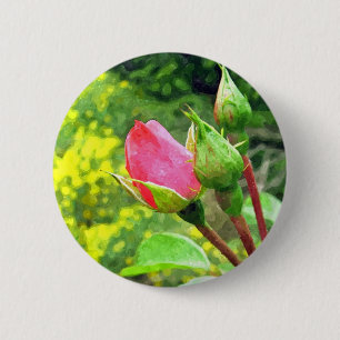 summer pink rose flower buds 2 inch round button