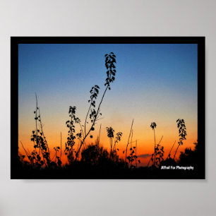 Summer Plant Silhouettes Poster