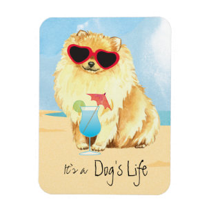 Summer Pomeranian Magnet