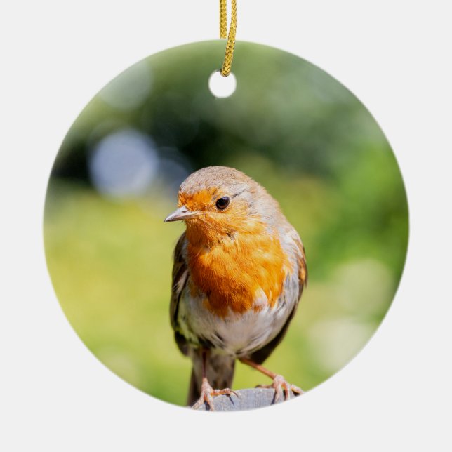 Summer Robin Ceramic Ornament (Front)