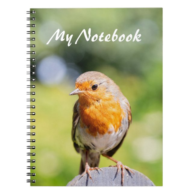 Summer Robin Notebook (Front)