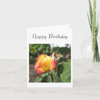 Summer Rose Card