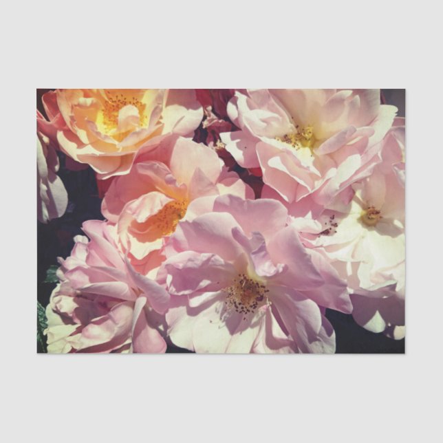 Summer Rose Tissue Paper (Front)